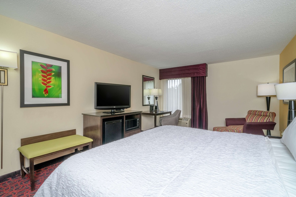 Classic Room, 1 King Bed, Accessible (Mobility/Hearing - Roll-In Shower) - Photo 3