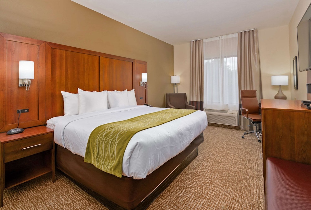 Room, 1 King Bed, Non Smoking, Refrigerator - Photo 4