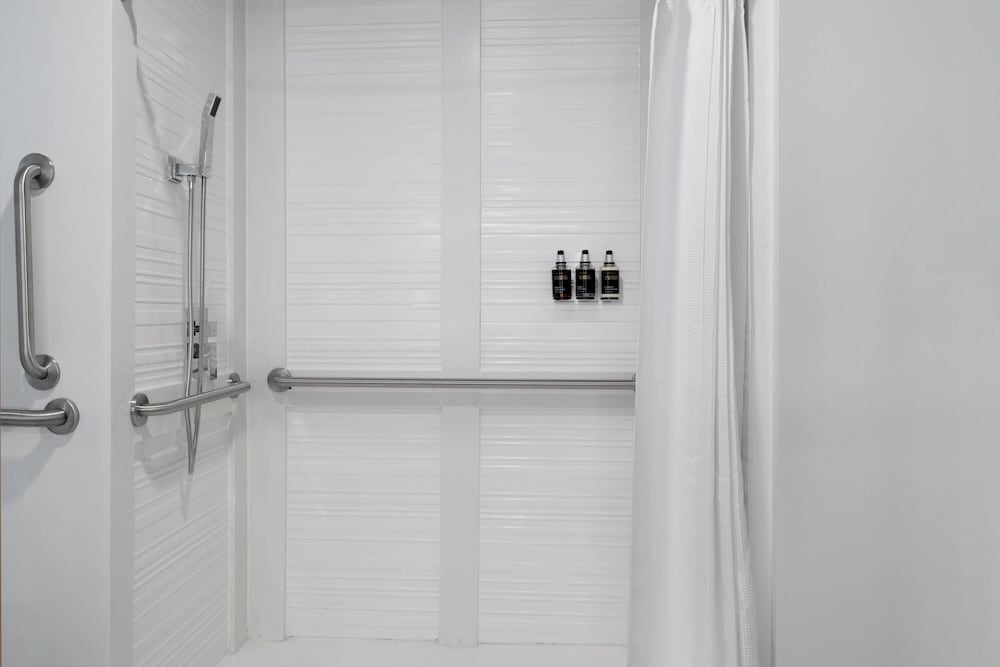 Premier Suite, 1 King Bed, Roll-in Shower - Photo 4