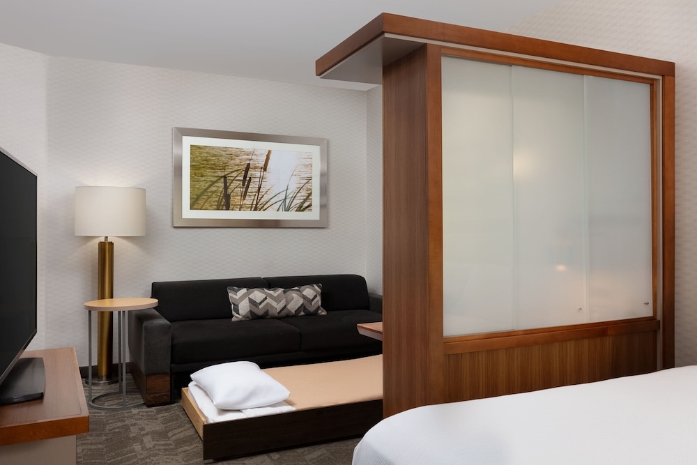 Suite, 1 King Bed photo 1