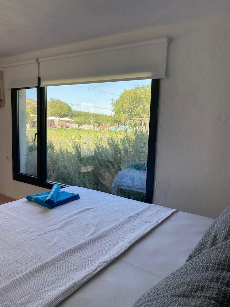 Twin Room, Garden View photo 3