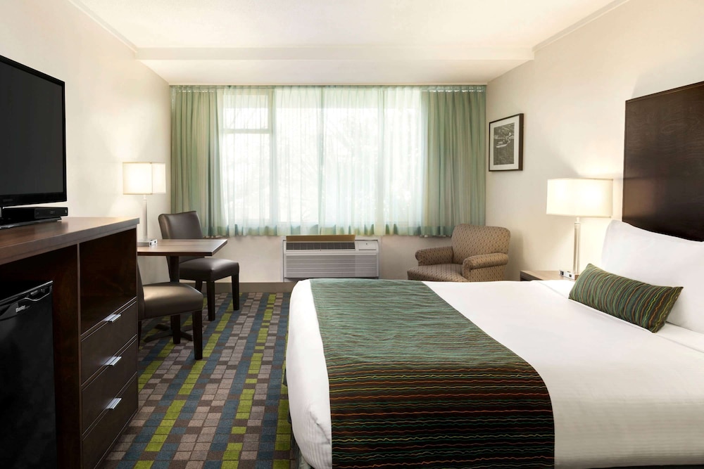 Room, 1 King Bed, Non Smoking - Photo 2