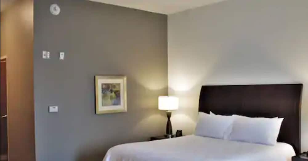Room, 1 King Bed, Accessible - Photo 4