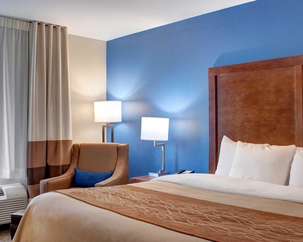Standard Room, 1 King Bed, Non Smoking