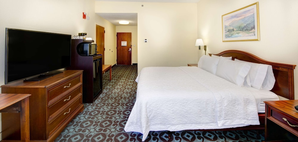 Room, 1 King Bed, Accessible, Non Smoking - Photo 1