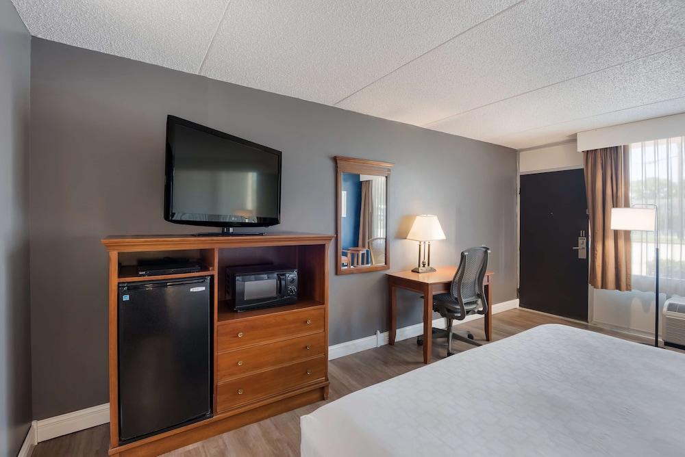 Standard Room, 1 King Bed, Non Smoking, Refrigerator & Microwave (Pet Friendly) - Photo 2