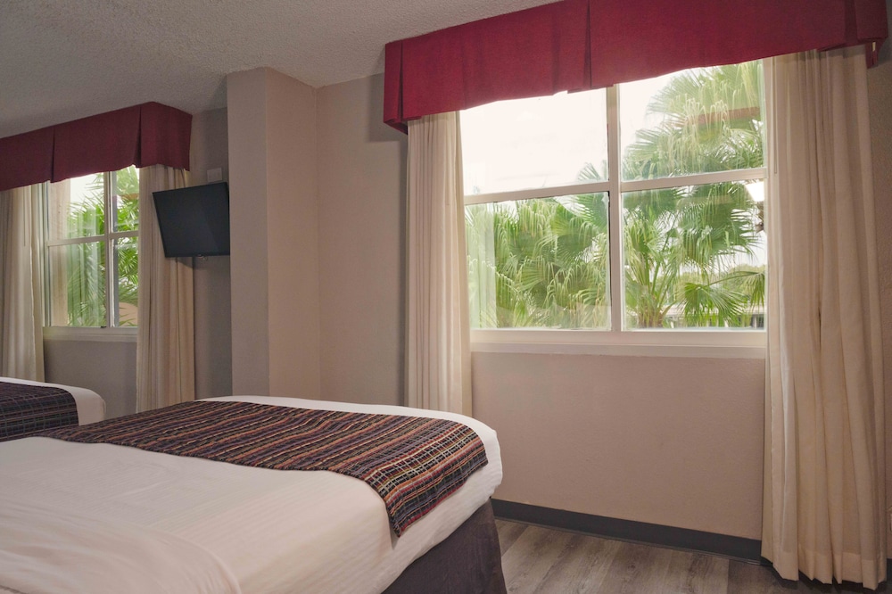 Studio Suite, 2 Queen Beds photo 2