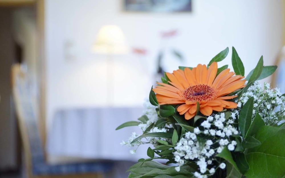 Apartment (ALMENRAUSCH) photo 2