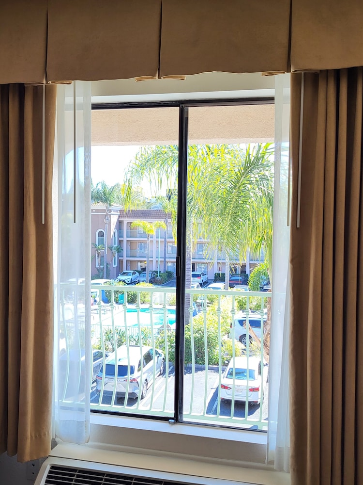 Executive Suite, 1 Bedroom - Photo 6