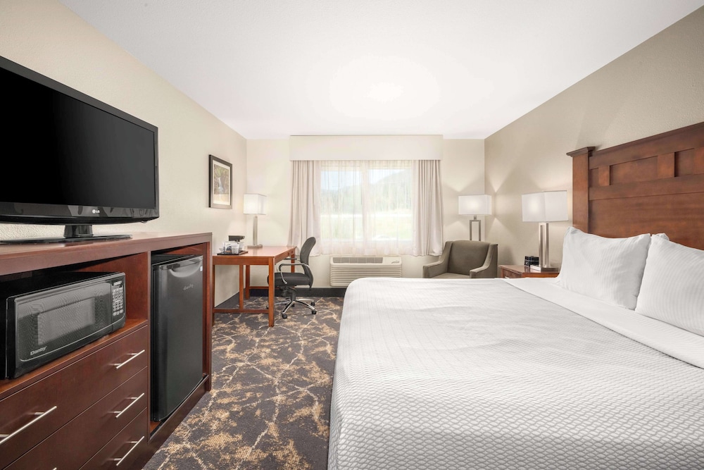 Room, 1 King Bed, Non Smoking