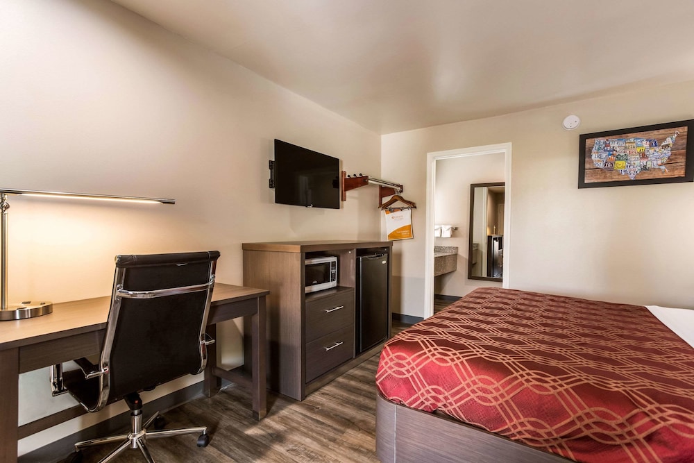 Room, 1 King Bed, Non Smoking (Bottom Floor, Standing Shower) photo 2
