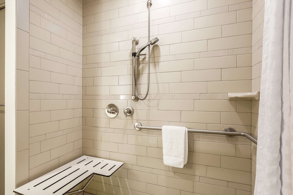 Suite, 1 King Bed, Accessible (Roll-In Shower)