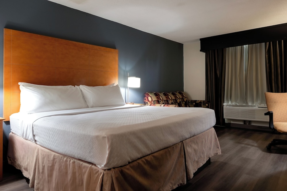 Room, 1 King Bed, Non Smoking photo 3