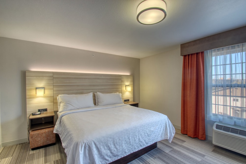 Suite, 1 Bedroom - Photo 9