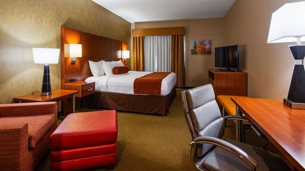 Standard Room, 1 King Bed, Non Smoking, Refrigerator & Microwave (Shower Only) photo 3