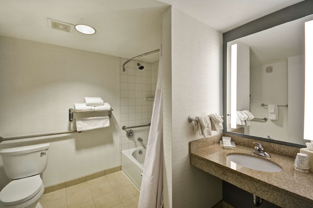 Room, 1 King Bed, Accessible - Photo 6