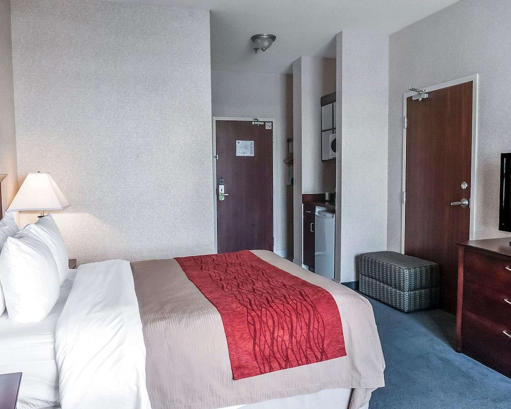 Standard Room, 1 Queen Bed, Non Smoking - Photo 3