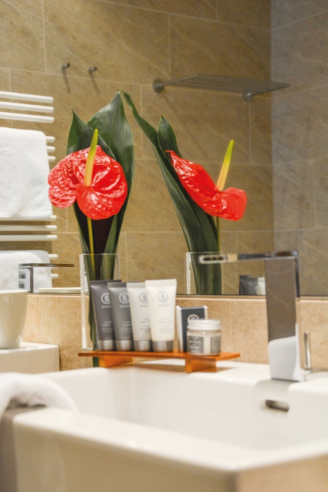 Panoramic Double Room, Balcony (Deluxe incl. SPA entrance) photo 3
