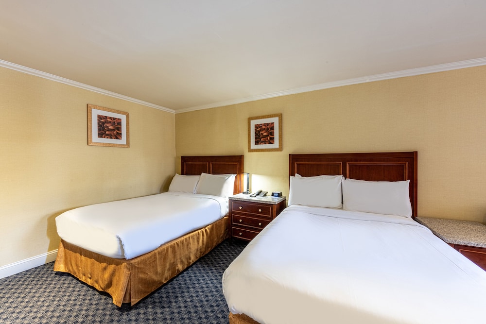 2 Full Beds Suite