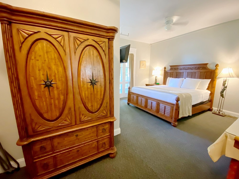 Premier Room, 1 King Bed, Terrace, Garden View photo 3