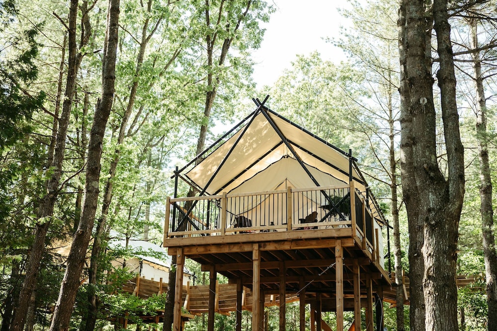 Tree House photo 3