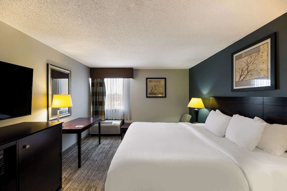 Standard Room, 1 King Bed, Non Smoking - Photo 4
