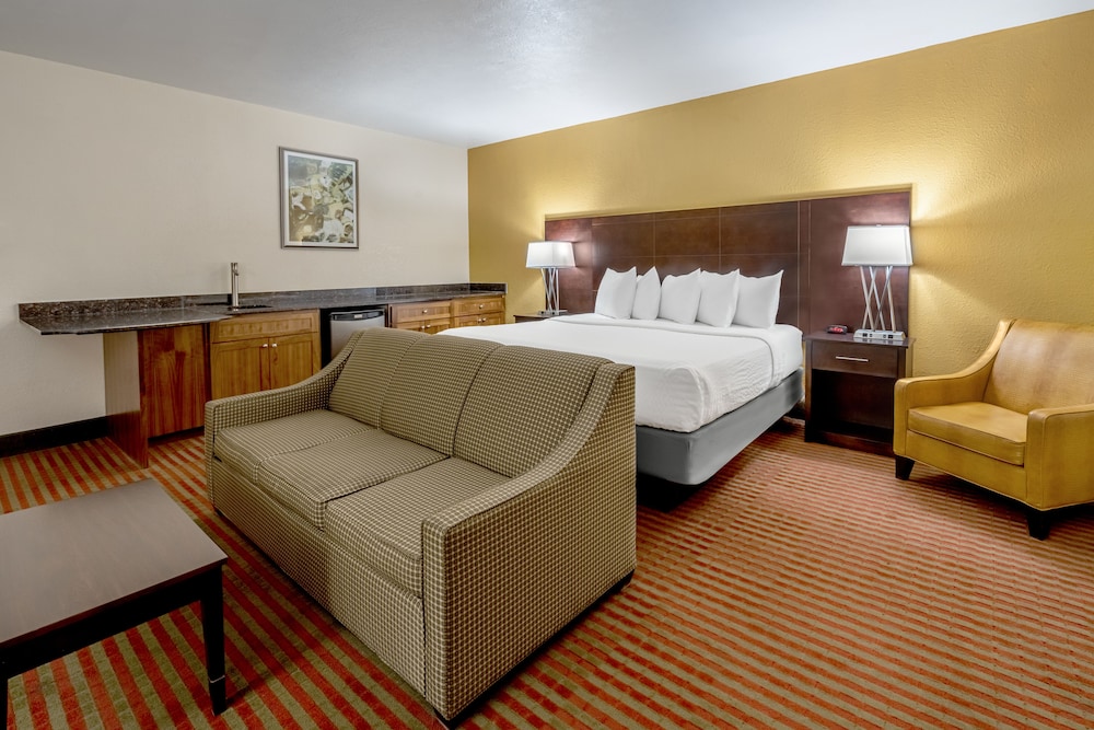 Suite, 1 King Bed photo 3