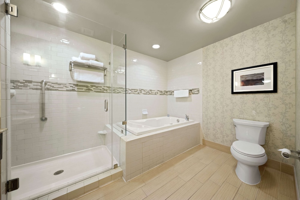 Suite, 1 King Bed, Accessible photo 3