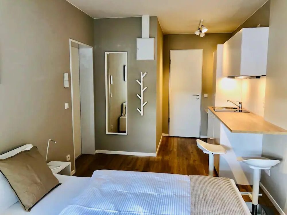 Apartment, 1 Bedroom (Studio)