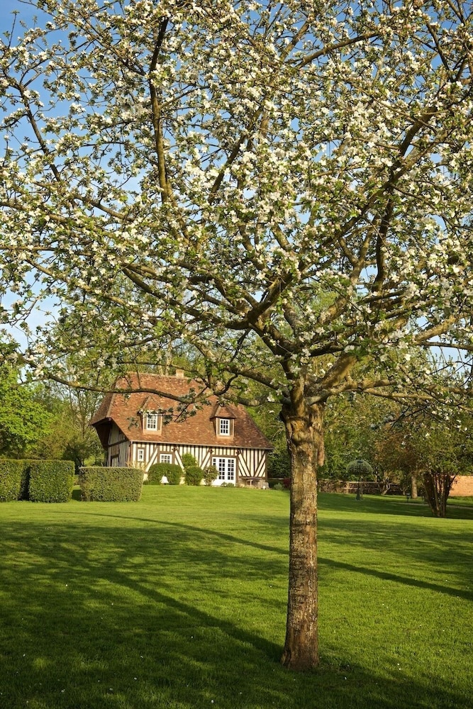 House, Garden View photo 2