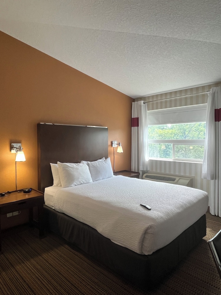 Superior Suite, Multiple Beds
