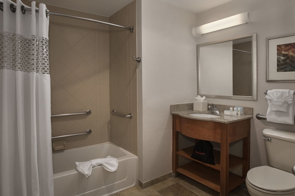 Room, Accessible, Non Smoking photo 3
