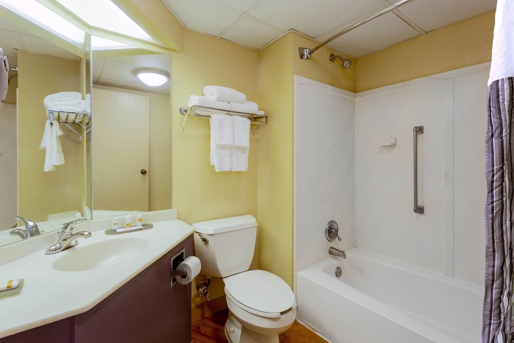 Deluxe Suite, 1 King Bed, Non Smoking (Deluxe Executive Suite) - Photo 4