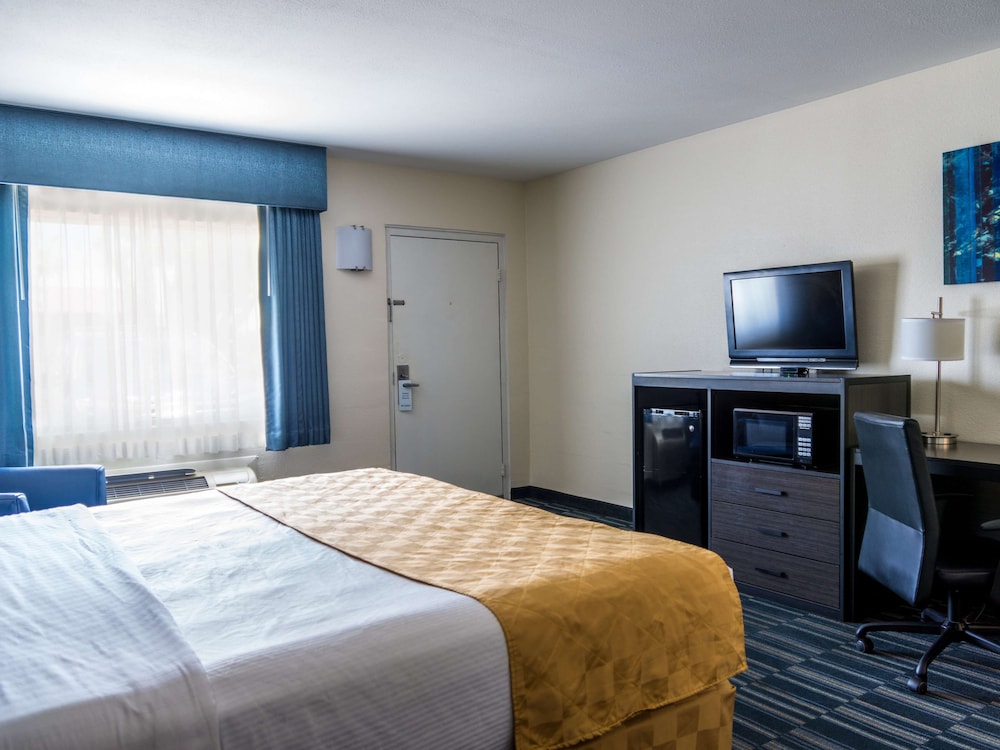 Standard Room, 1 King Bed, Non Smoking, Refrigerator & Microwave photo 3