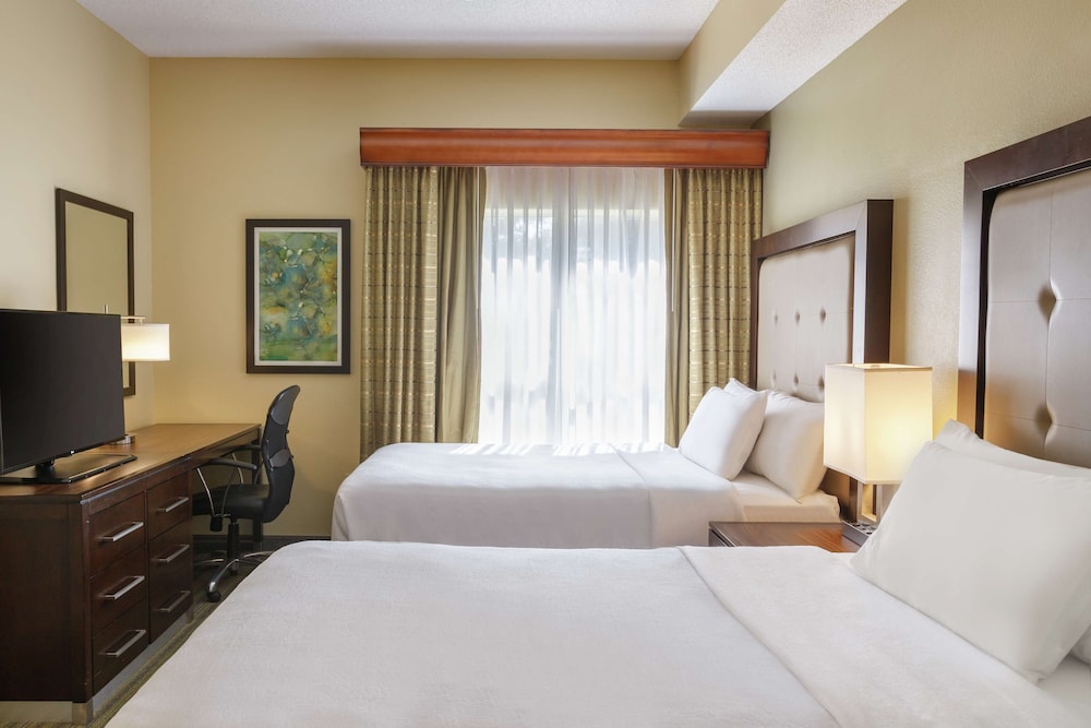 Suite, 1 Bedroom - Photo 8