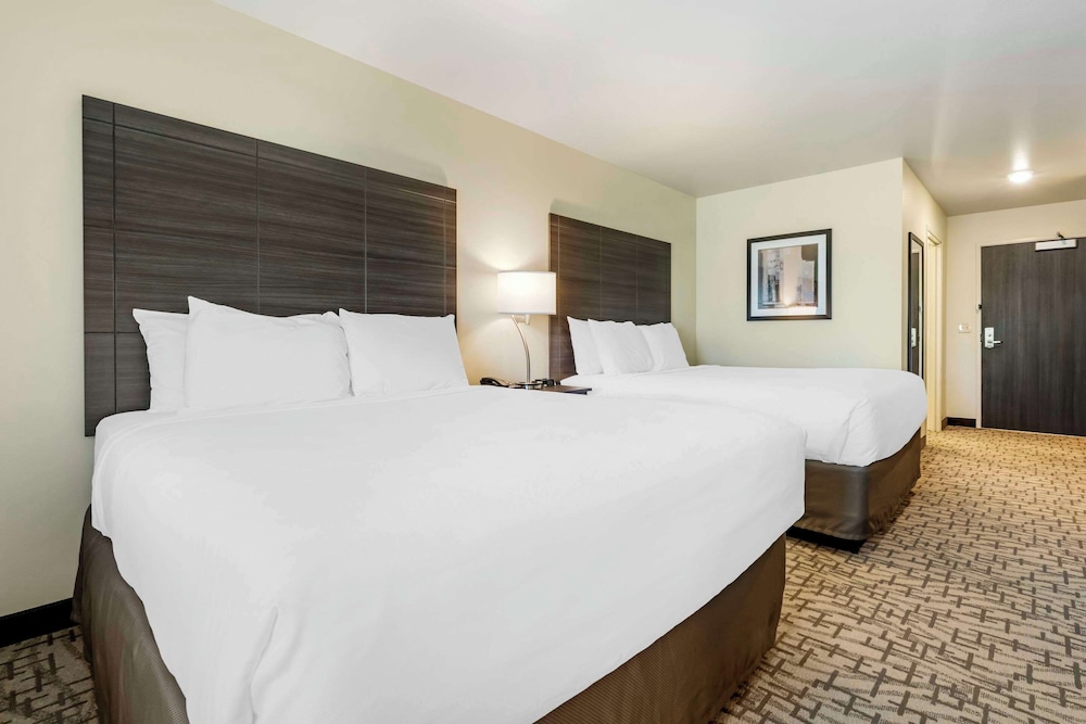 Room, Multiple Beds, Accessible, Non Smoking photo 3