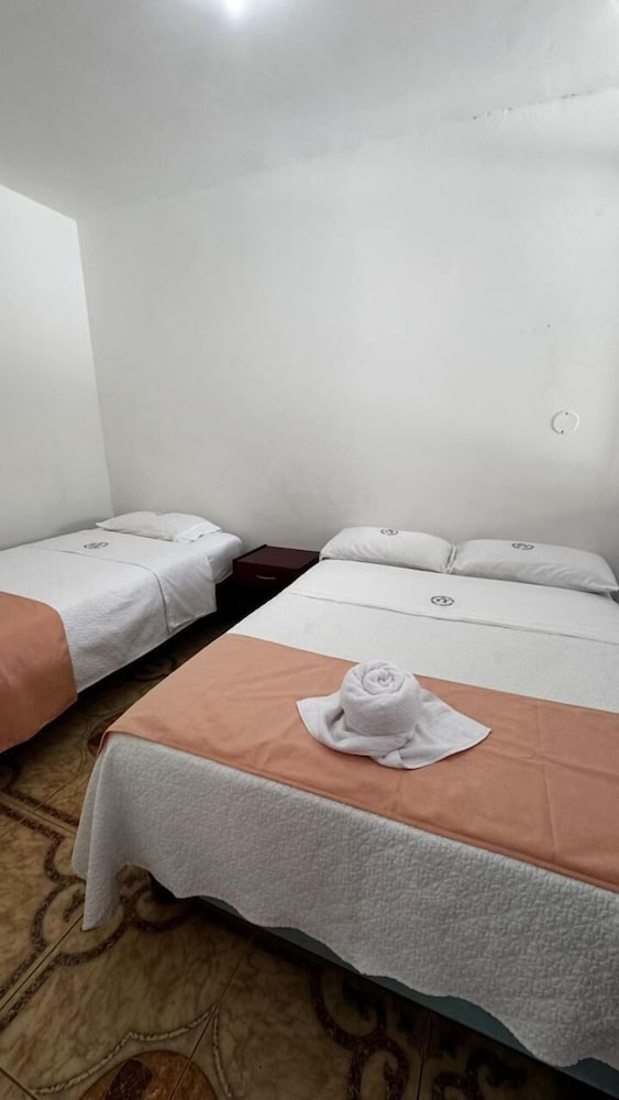 Comfort Shared Dormitory photo 3