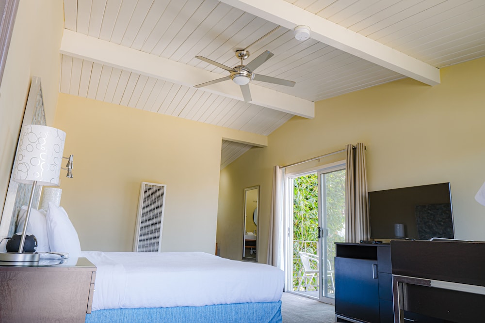Premier Room, 1 King Bed, Terrace