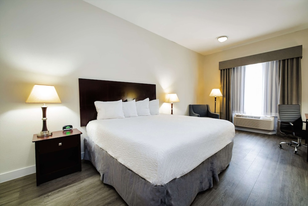 Standard Room, 1 King Bed, Non Smoking - Photo 6