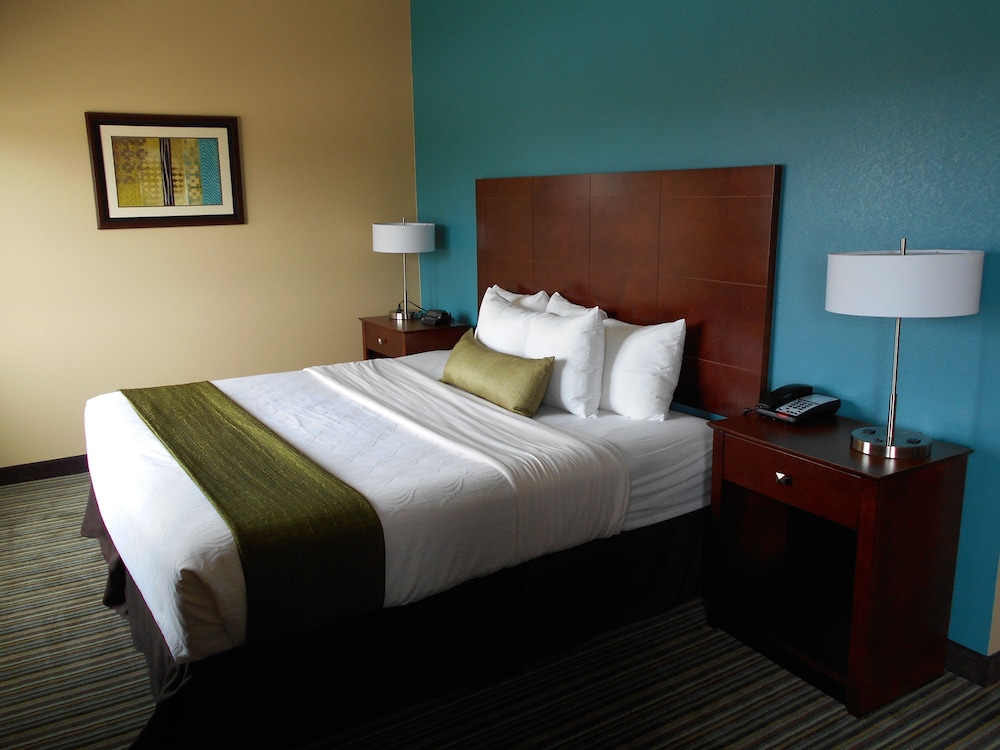 Standard Room, 1 King Bed, Non Smoking, Refrigerator & Microwave photo 3