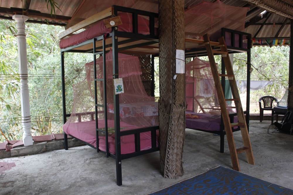 Shared Dormitory photo 1