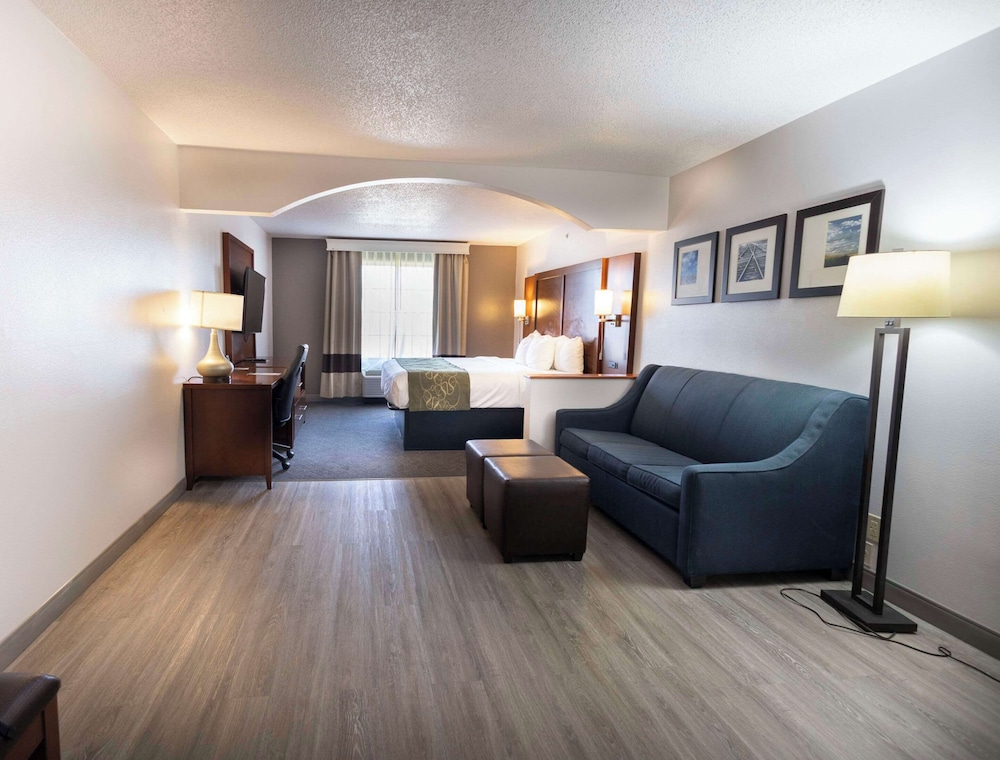 Suite, 1 King Bed, Non Smoking - Photo 6