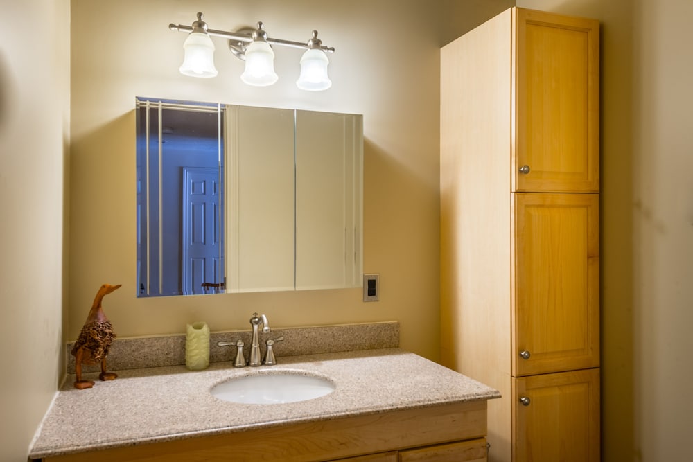 Luxury Suite, 1 Bedroom, Jetted Tub photo 2