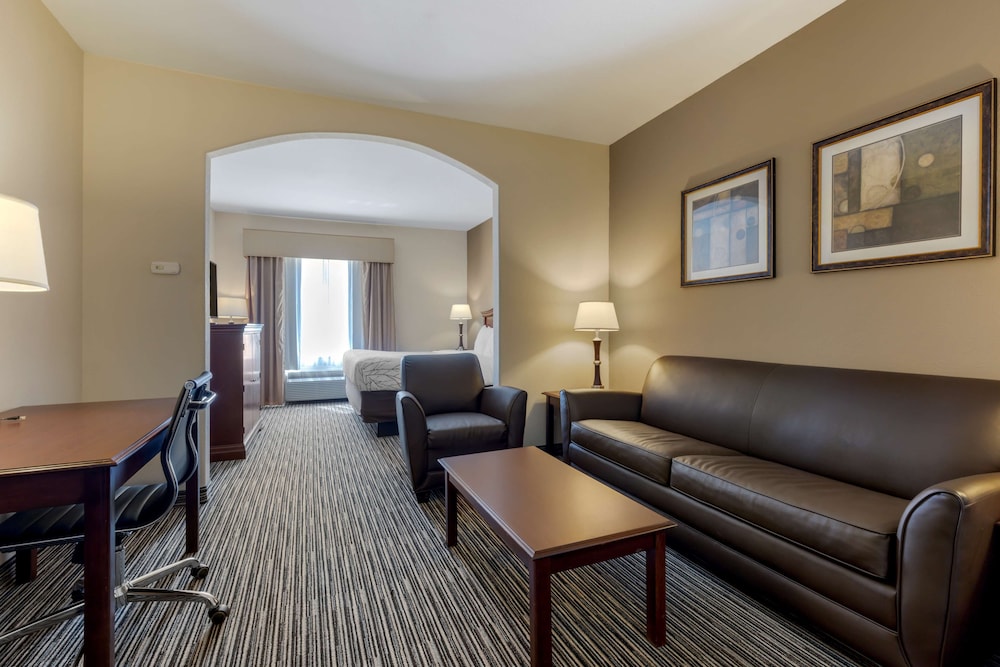 Suite, 1 King Bed, Non Smoking, Refrigerator & Microwave (with Sofabed) photo 3