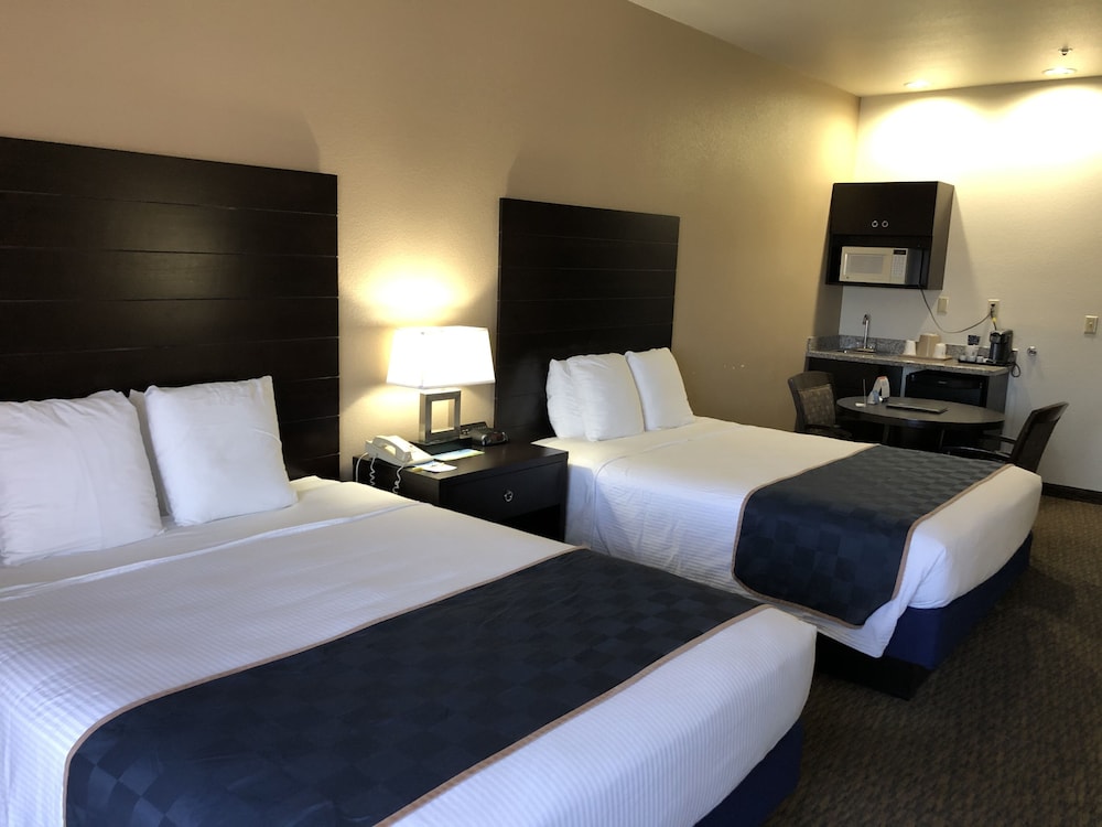 Studio Suite, Multiple Beds, Non Smoking - Photo 5