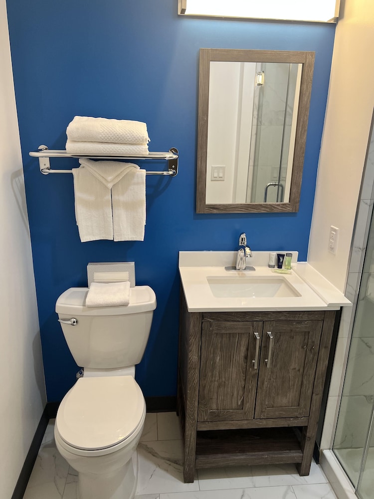 Deluxe Studio Suite photo 2