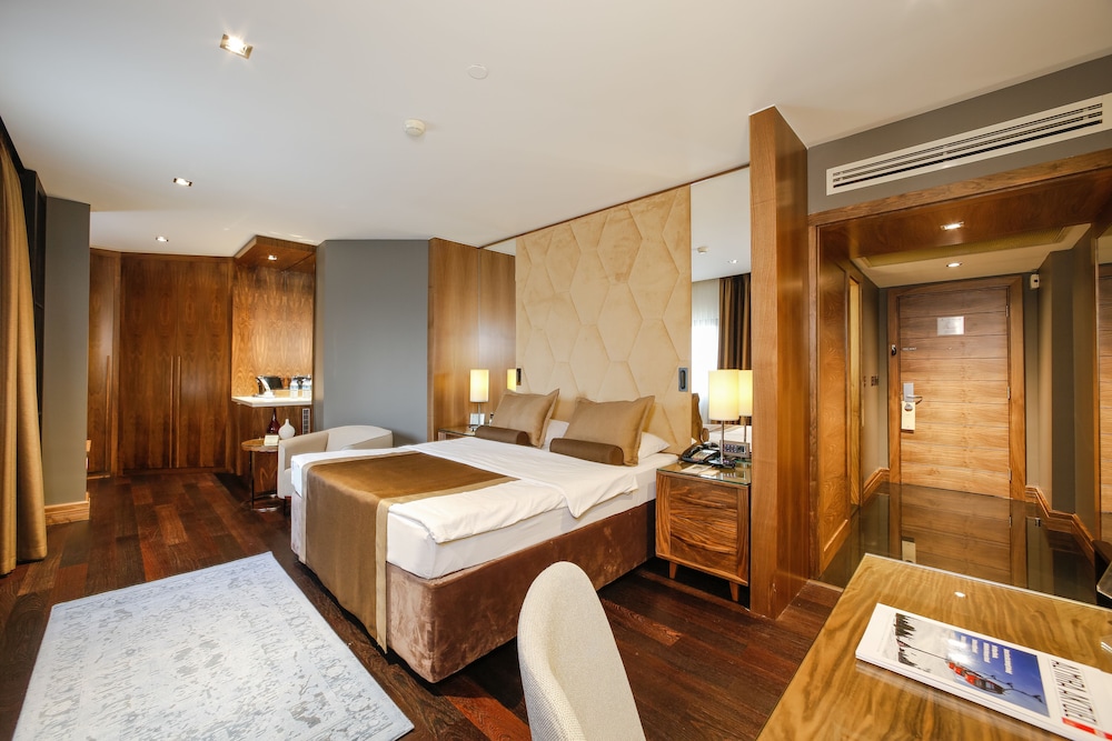 Superior Business Room - Photo 7