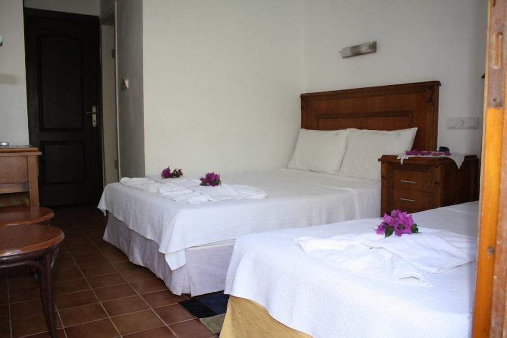 Standard Double Room, Mountain View