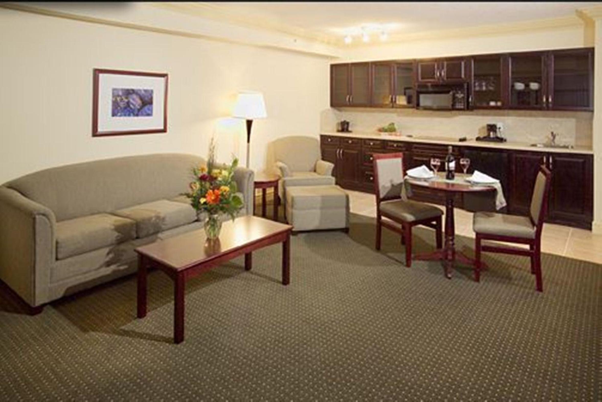 Executive Queen Suite photo 1