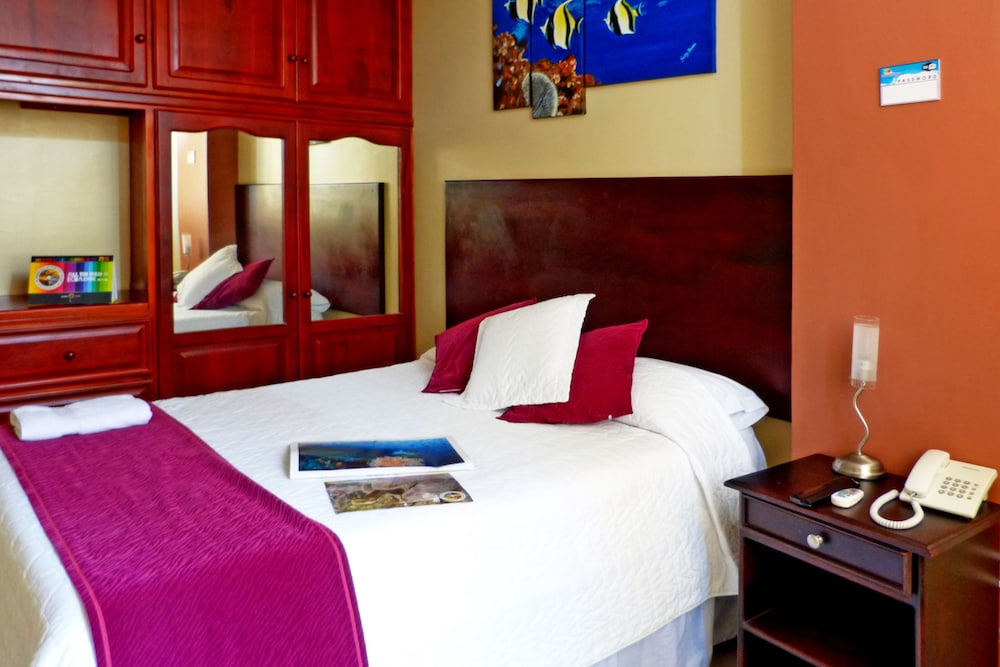 Single Room photo 1